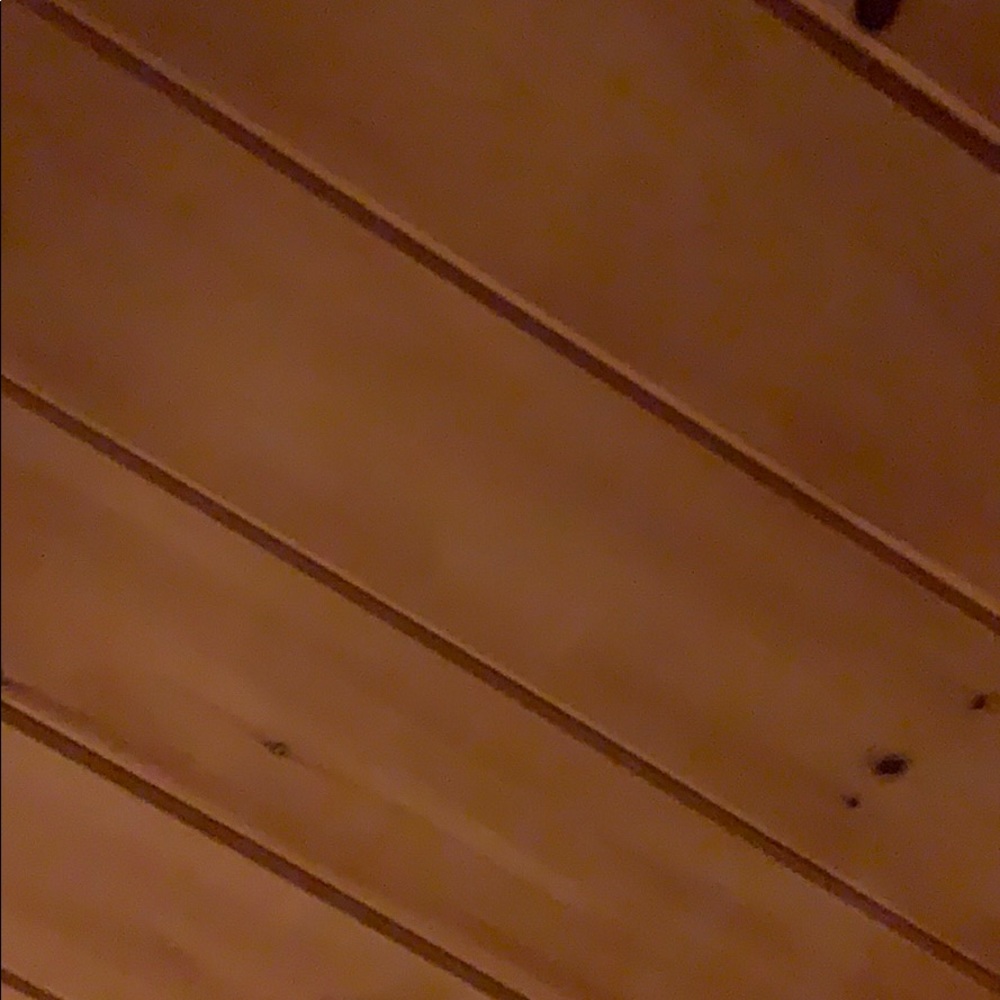 ISO FISH CROC JIBBITZ/CHARM